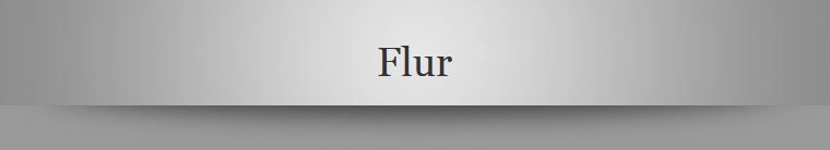 Flur