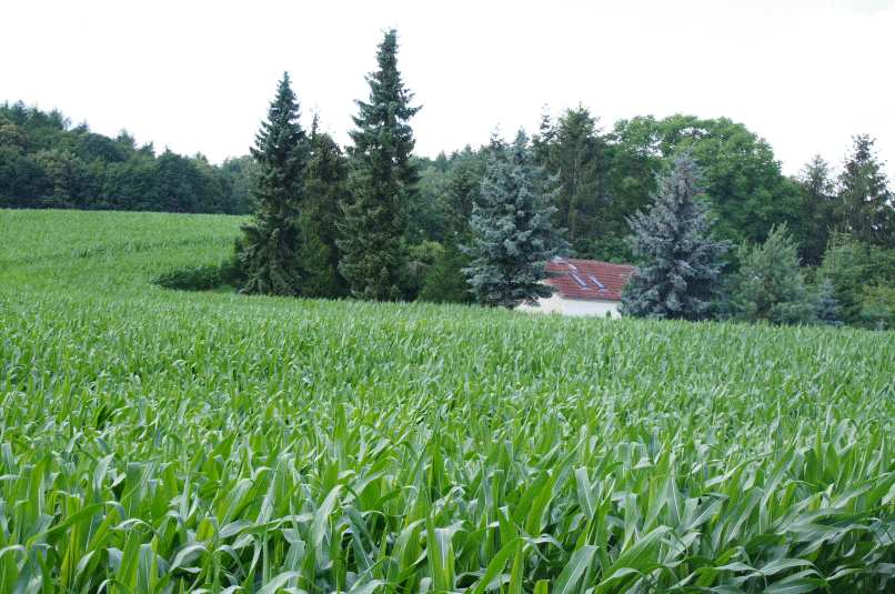 Ferienhaus Randow